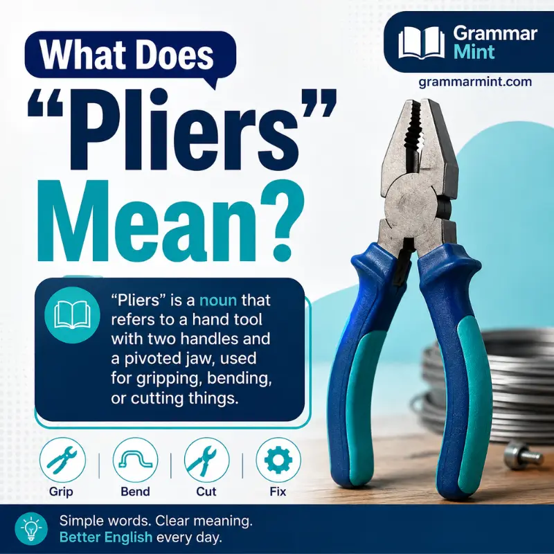 What Does “Pliers” Mean?