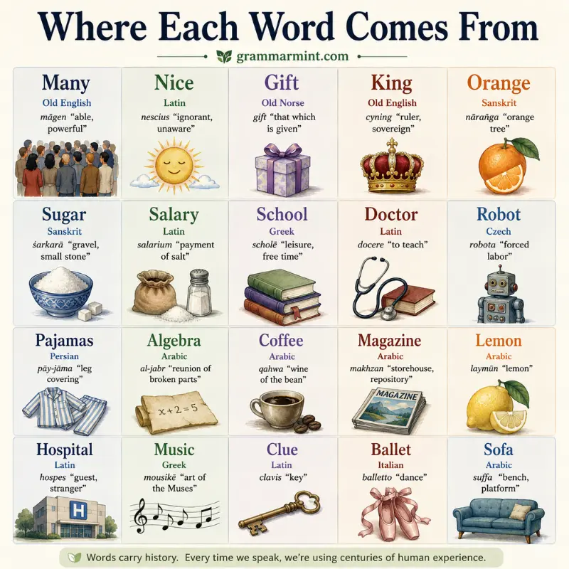 Where Each Word Comes From