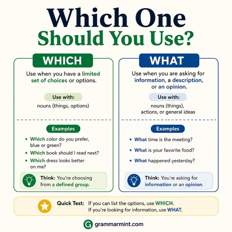 Which One Should You Use?