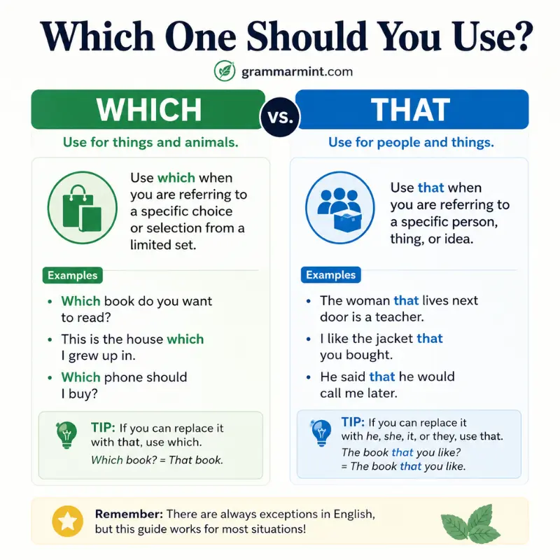 Which One Should You Use?