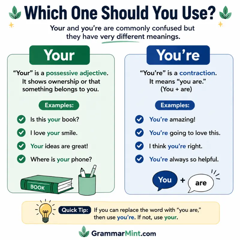Which One Should You Use?