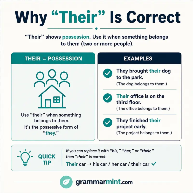 Why “Their” Is Correct