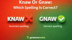 Knaw Or Gnaw: Which Spelling Is Correct?