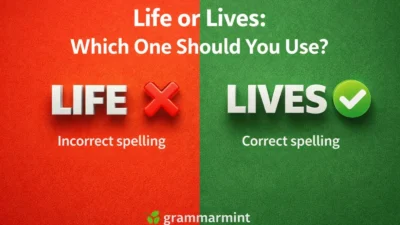Life or Lives: Which One Should You Use?