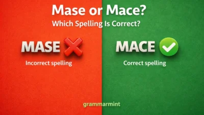 Mase or Mace? Which Spelling Is Correct?