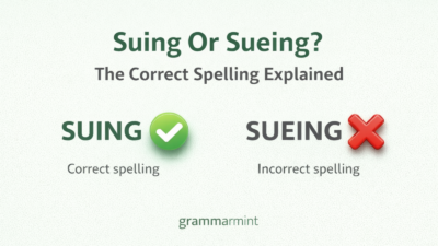 Suing Or Sueing? The Correct Spelling Explained
