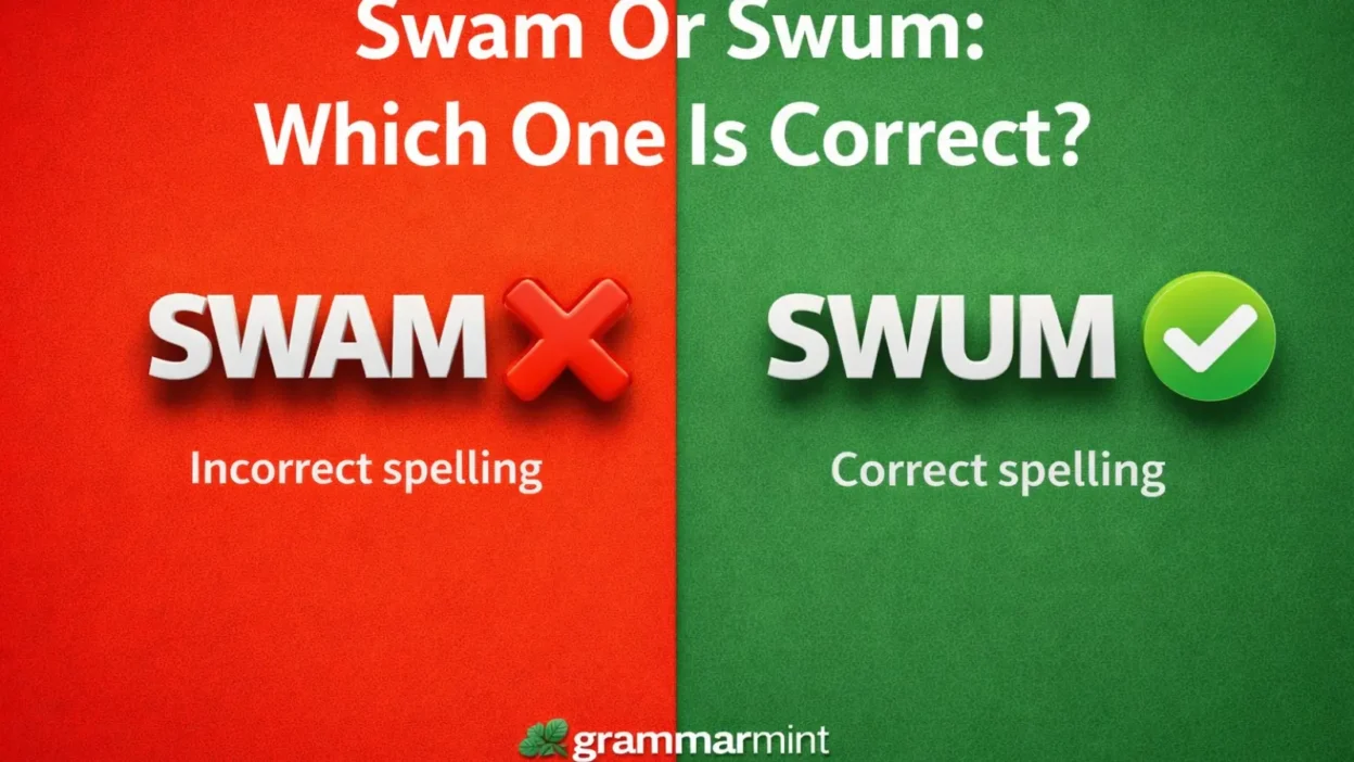 Swam Or Swum: Which One Is Correct?