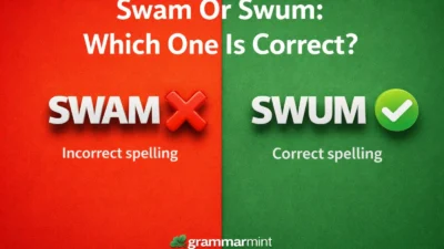 Swam Or Swum: Which One Is Correct?