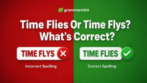  Time Flies Or Time Flys? What’s Correct?