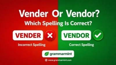 Vender Or Vendor? Which Spelling Is Correct?