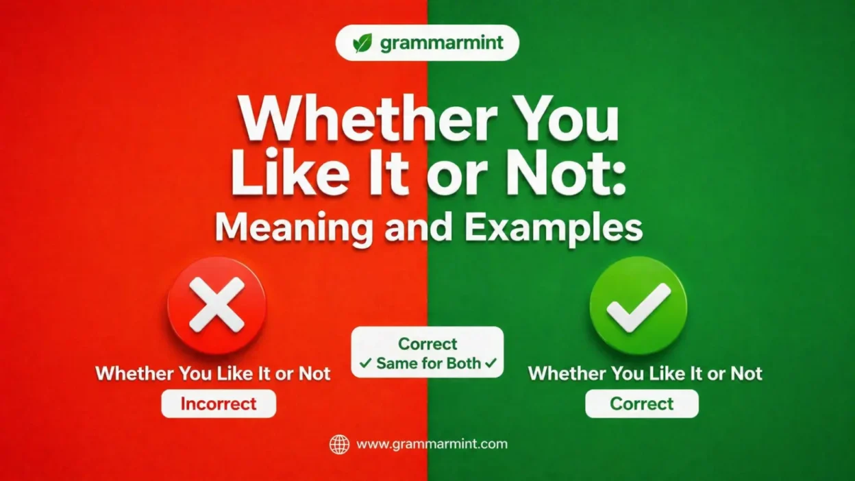 Whether You Like It or Not: Meaning and Examples
