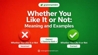 Whether You Like It or Not: Meaning and Examples