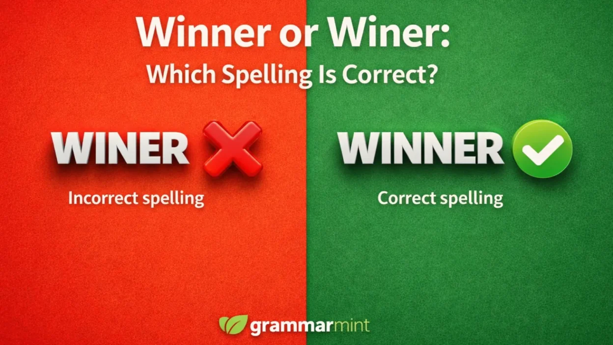 Winner or Winer: Which Spelling Is Correct?
