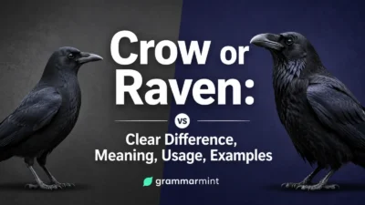Crow or Raven: Clear Difference, Meaning, Usage, Examples