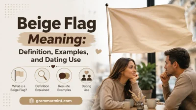 Beige Flag Meaning: Definition, Examples, and Dating Use
