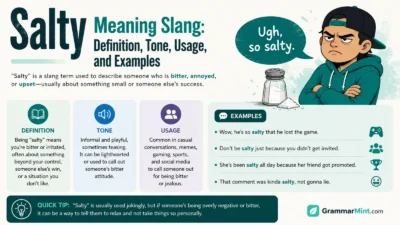 Stan Meaning in Slang: Definition, Origin, and Examples